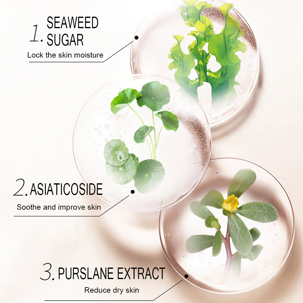 Rice Mask Skincare Set