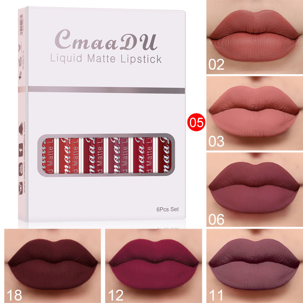 Matte Waterproof Lip Gloss Set – 6 Boxes (2.5ml Each)