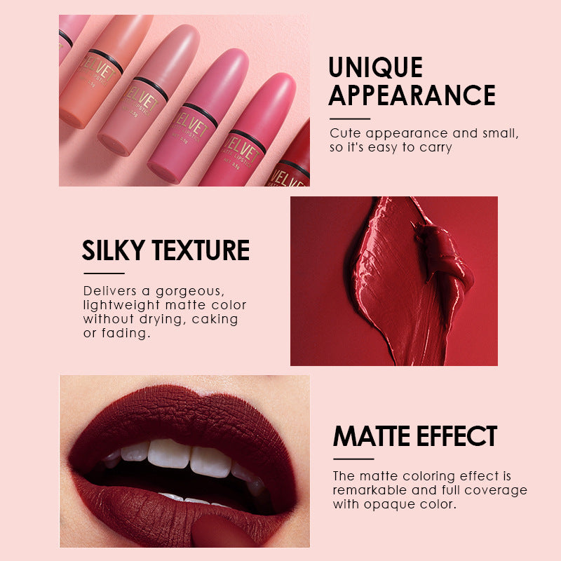 Matte Bullet Lipstick Set