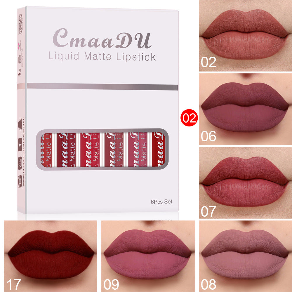 Matte Waterproof Lip Gloss Set – 6 Boxes (2.5ml Each)