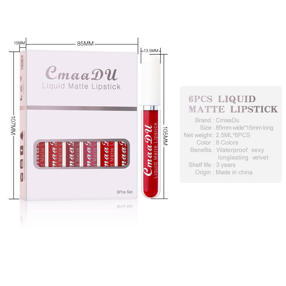 Matte Waterproof Lip Gloss Set – 6 Boxes (2.5ml Each)